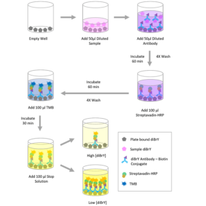 Protein Oxidation Life Science Products Stressmarq Biosciences Inc