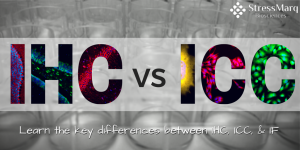 Immunohistochemistry vs Immunocytochemistry vs Immunofluorescence IHC ICC IF