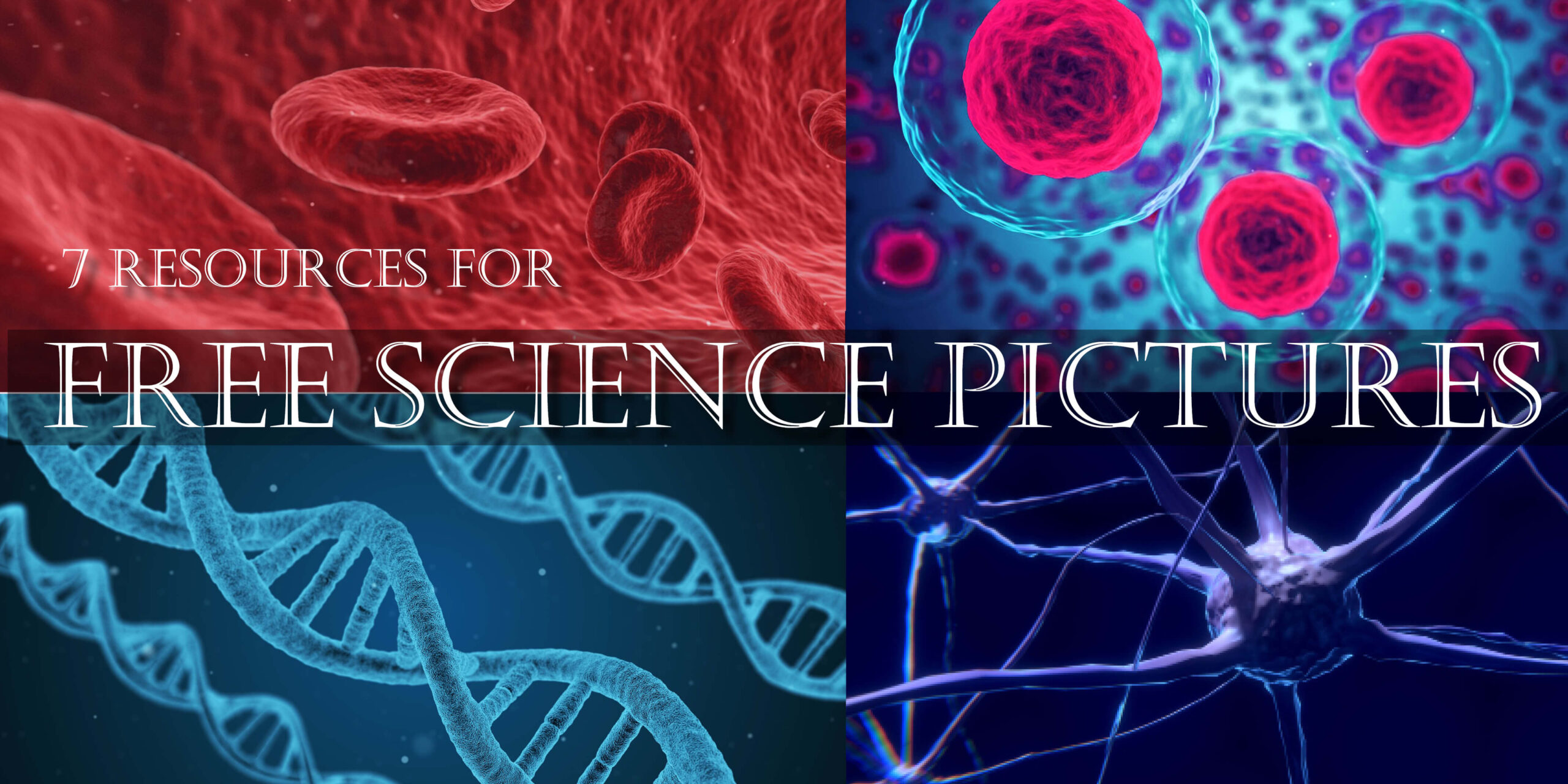 science biology backgrounds for powerpoint