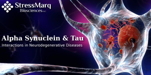 Alpha Synuclein and Tau Interactions in Neurodegeneration