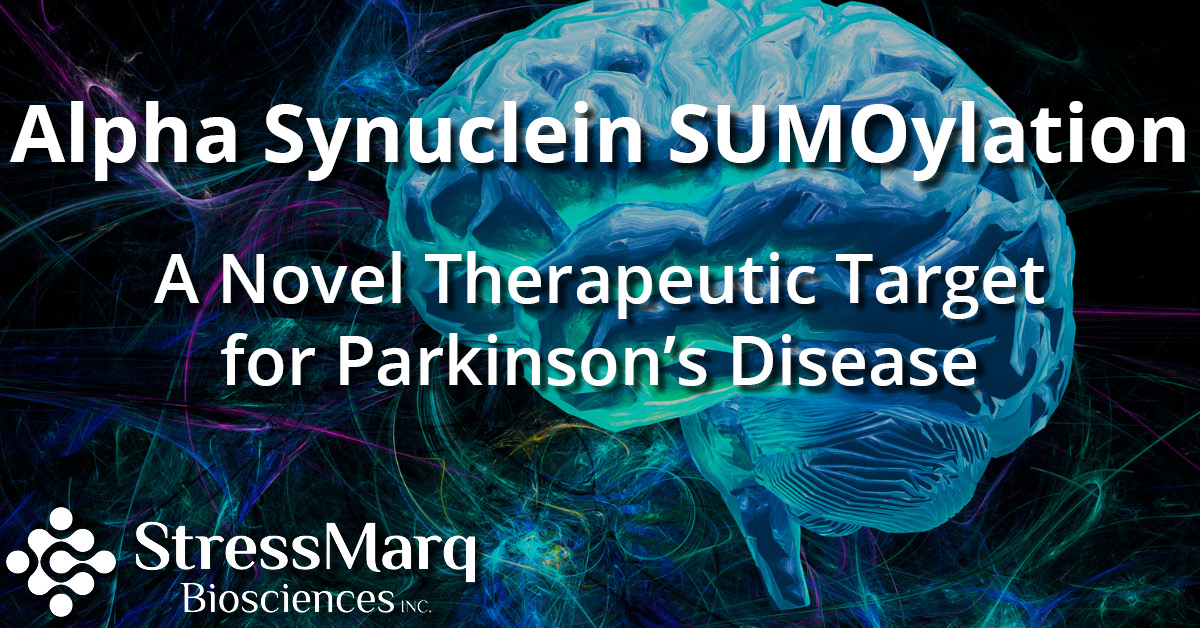 Targeting Alpha-Synuclein: Breakthroughs in the Quest to Halt Parkinson's  Progression