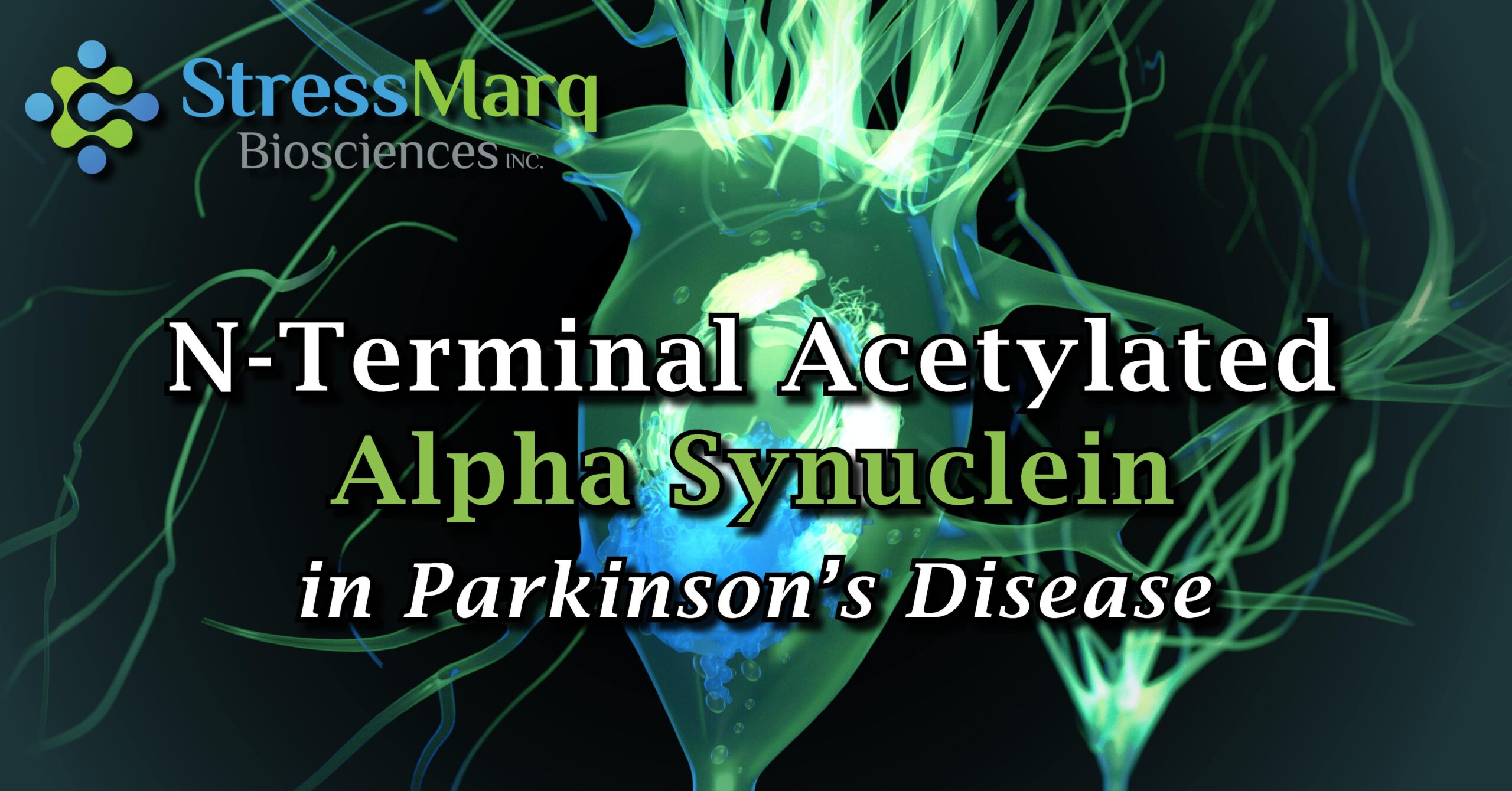 N-terminal Acetylated Alpha Synuclein in Parkinson’s Disease | StressMarq