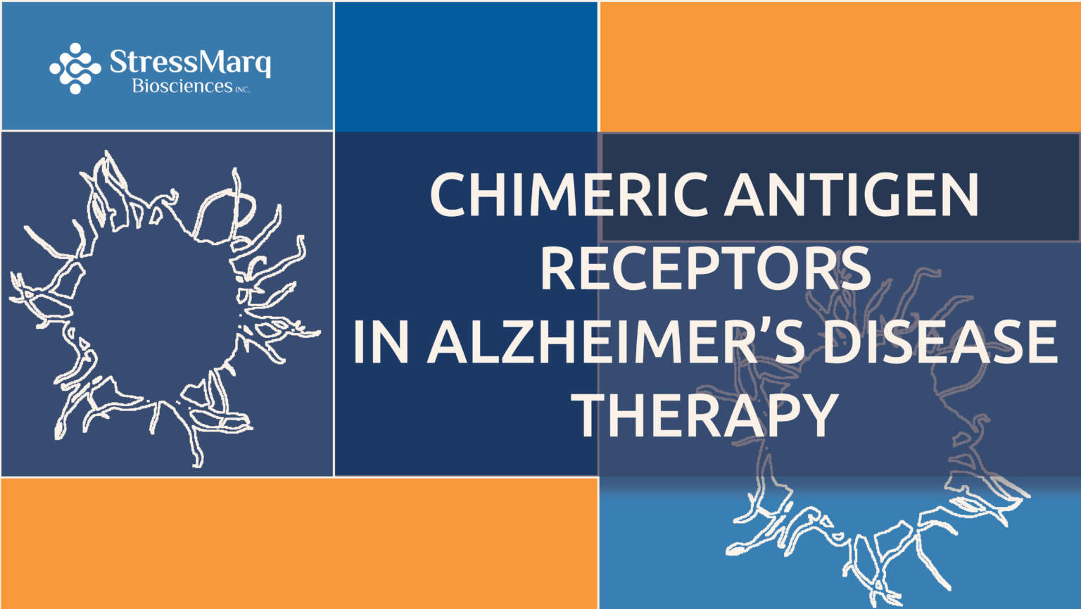 Chimeric Antigen Receptors in Alzheimer’s Disease Therapy