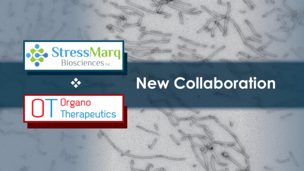 StressMarq Biosciences & OrganoTherapeutics Begin New Collaboration