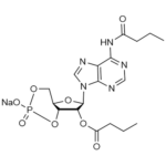 SIH-632-Dibutyryl-cAMP-Chemical-Structure.png