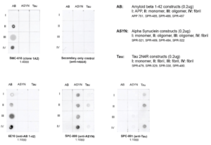 Rabbit Anti-Amyloid Beta 1-42 Oligomer Antibody [1A2] used in Dot Blot (DB) on Human Purified protein (SMC-618)