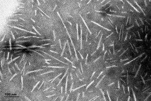 TEM of Type 1 Alpha Synuclein Pre-formed Fibrils (PFFs) (SPR-322)