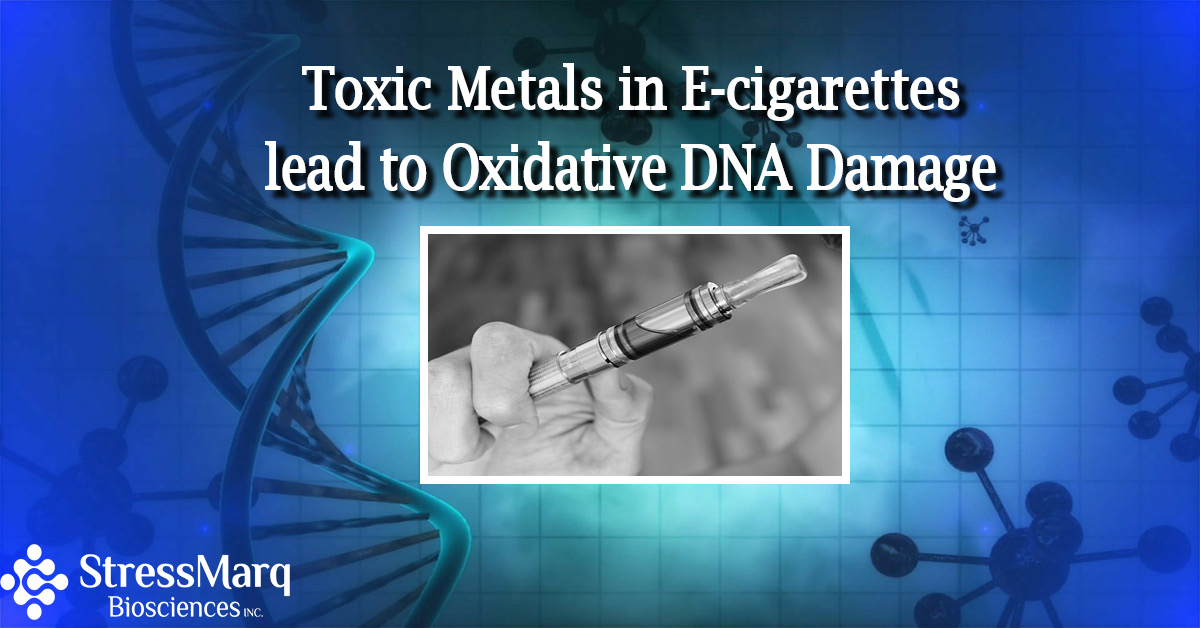 Toxic Metals in E cigarettes Lead to Oxidative DNA Damage StressMarq